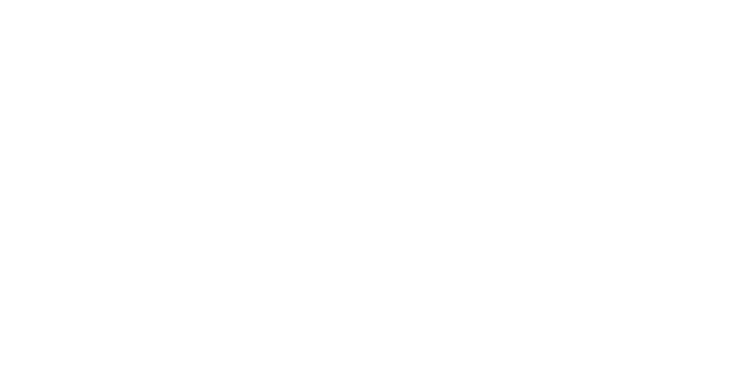 Suriname Fashion Council